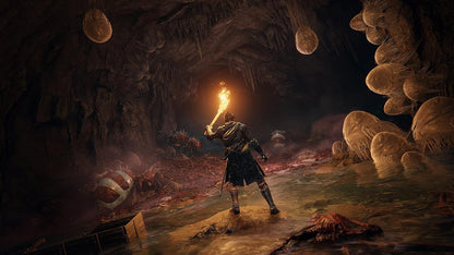 Elden Ring – Juego Físico para PlayStation 5